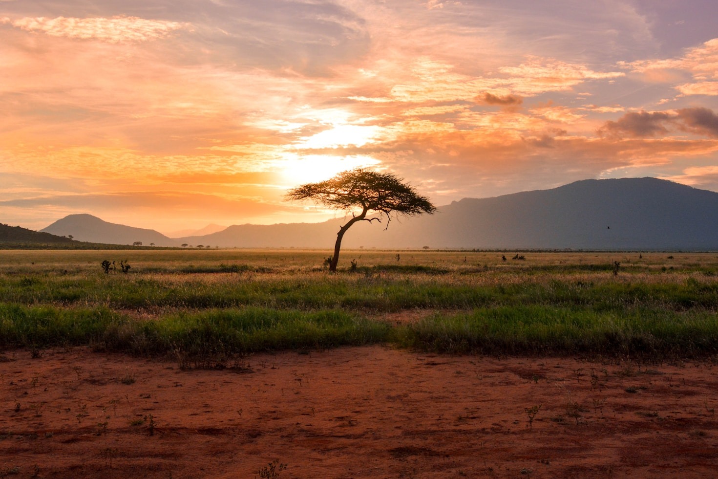 Challenges and Opportunities in African Environmentalism